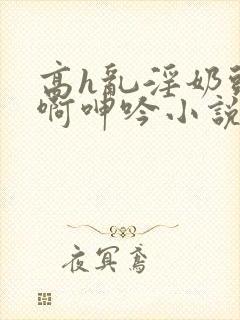 高h乱淫奶头嗯啊呻吟小说