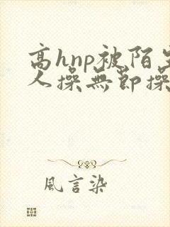 高hnp被陌生人操无节操小说