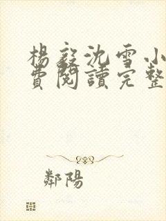 杨毅沈雪小说免费阅读完整版封面