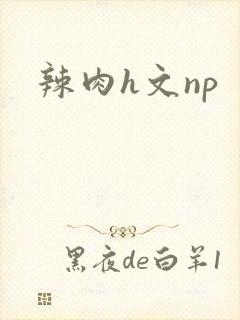 辣肉h文np
