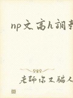 np文高h调教