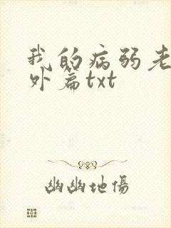 我的病弱老婆番外篇txt