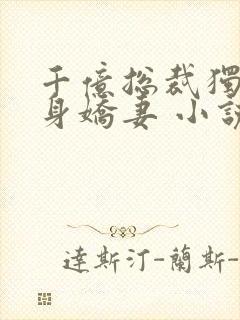 千亿总裁独宠替身娇妻 小说