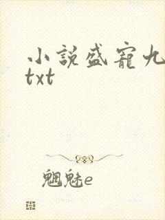 小说盛宠九皇妃txt