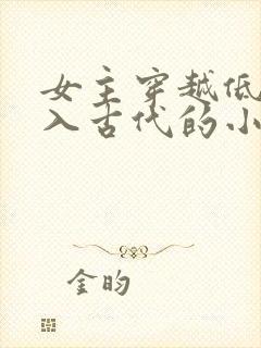 女主穿越低调融入古代的小说