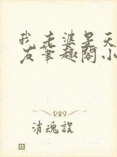 我老婆是天后张友笔趣阁小说