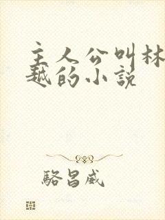 主人公叫林枫穿越的小说