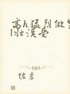 高h猛烈做哭bl壮汉受