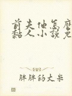 前夫他怎么那么黏人小说免费阅读封面