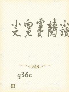 小向雪姨小说全文免费阅读最新章节