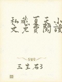 私藏夏天小说全文免费阅读笔趣阁