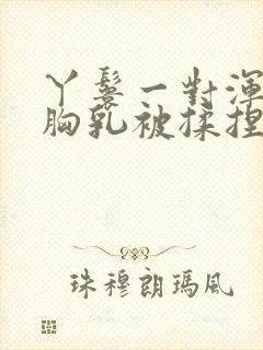 丫鬟一对浑圆的胸乳被揉捏