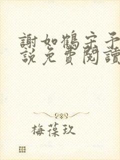 谢如鹤宋予朵小说免费阅读最新章节