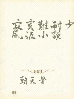 寂寞难耐少妇的风流小说