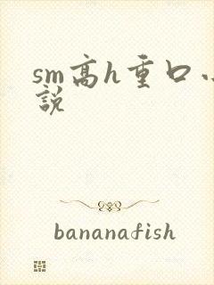 sm高h重口小说