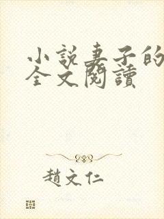 小说妻子的秘密全文阅读封面