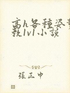 高h各种姿势调教1v1小说