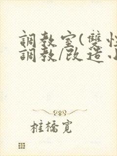 调教室(双性/调教/改造小说封面
