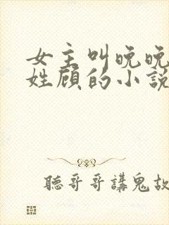 女主叫晚晚男主姓顾的小说