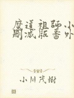 魔道祖师小说无删减版番外