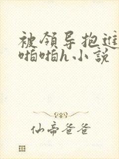 被领导抱进卧室啪啪h小说封面