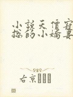 小说天价宠妻霍总的小娇妻