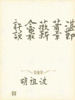 许念薇萧湛明小说最新章节免费阅读