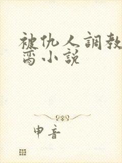被仇人调教成禁脔小说