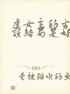 虐女主的古言小说结局是好的封面