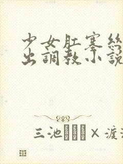 少女肛塞丝袜外出调教小说