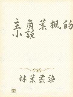 主角叶枫的都市小说