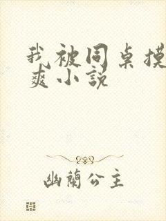 我被同桌摸的好爽小说