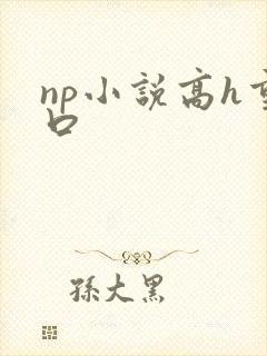 np小说高h重口封面