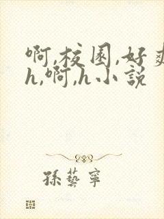 啊,校园,好爽h,啊,h小说封面