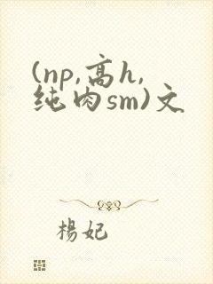 (np,高h,纯肉sm)文封面