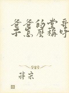 爸爸的堂哥的儿子怎么称呼