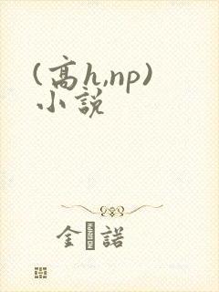 (高h,np)小说