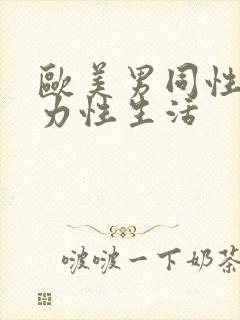 欧美男同性恋暴力性生活封面