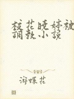 校花晓婷被混混调教小说