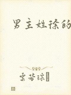 男主姓徐的小说