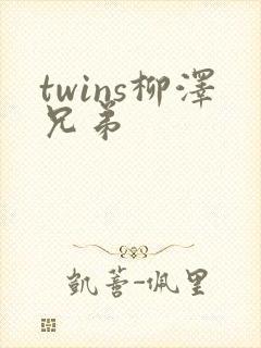 twins柳泽兄弟