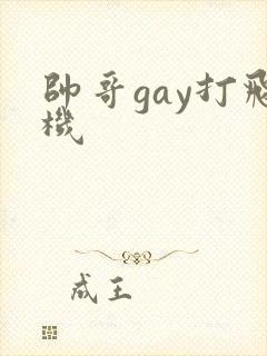 帅哥gay打飞机