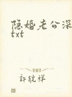 隐婚老公深夜来txt