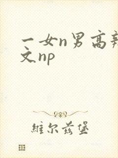 一女n男高辣h文np