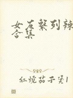 女友系列辣h文合集