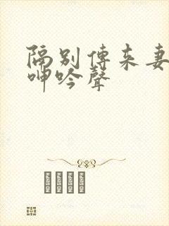 隔别传来妻子了呻吟声封面