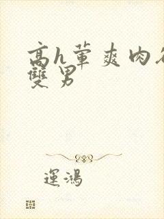 高h荤爽肉欲文双男