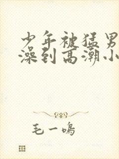 少年被猛男轮流澡到高潮小说