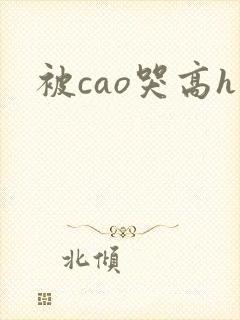 被cao哭高h