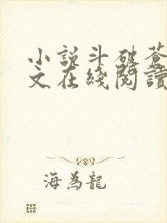 小说斗破苍穹全文在线阅读